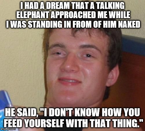 Naked In Front Of An Elephant | I HAD A DREAM THAT A TALKING ELEPHANT APPROACHED ME WHILE I WAS STANDING IN FROM OF HIM NAKED; HE SAID, "I DON'T KNOW HOW YOU FEED YOURSELF WITH THAT THING." | image tagged in memes,10 guy | made w/ Imgflip meme maker