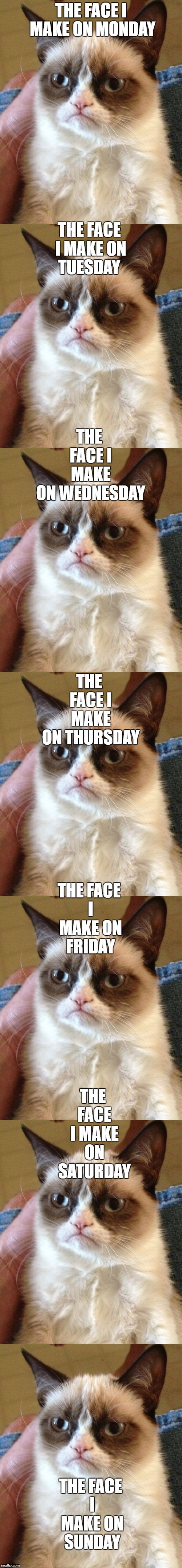 I just decided to summarize my mood swings during the week | THE FACE I MAKE ON MONDAY; THE FACE I MAKE ON TUESDAY; THE FACE I MAKE ON WEDNESDAY; THE FACE I MAKE ON THURSDAY; THE FACE I MAKE ON FRIDAY; THE FACE I MAKE ON SATURDAY; THE FACE I MAKE ON SUNDAY | image tagged in memes,grumpy cat,week | made w/ Imgflip meme maker