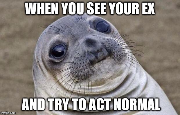 Awkward Moment Sealion Meme | WHEN YOU SEE YOUR EX; AND TRY TO ACT NORMAL | image tagged in memes,awkward moment sealion | made w/ Imgflip meme maker