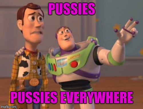 X, X Everywhere Meme | PUSSIES PUSSIES EVERYWHERE | image tagged in memes,x x everywhere | made w/ Imgflip meme maker