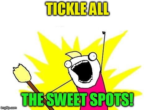 X All The Y Meme | TICKLE ALL THE SWEET SPOTS! | image tagged in memes,x all the y | made w/ Imgflip meme maker
