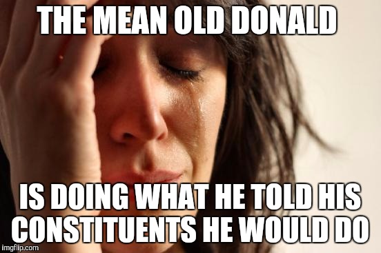 First World Problems | THE MEAN OLD DONALD; IS DOING WHAT HE TOLD HIS CONSTITUENTS HE WOULD DO | image tagged in memes,first world problems | made w/ Imgflip meme maker