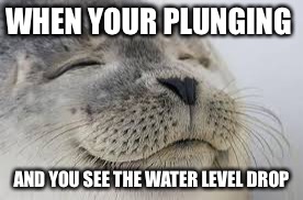 WHEN YOUR PLUNGING; AND YOU SEE THE WATER LEVEL DROP | made w/ Imgflip meme maker