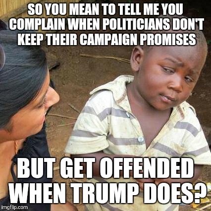 Third World Skeptical Kid | SO YOU MEAN TO TELL ME YOU COMPLAIN WHEN POLITICIANS DON'T KEEP THEIR CAMPAIGN PROMISES; BUT GET OFFENDED WHEN TRUMP DOES? | image tagged in memes,third world skeptical kid | made w/ Imgflip meme maker