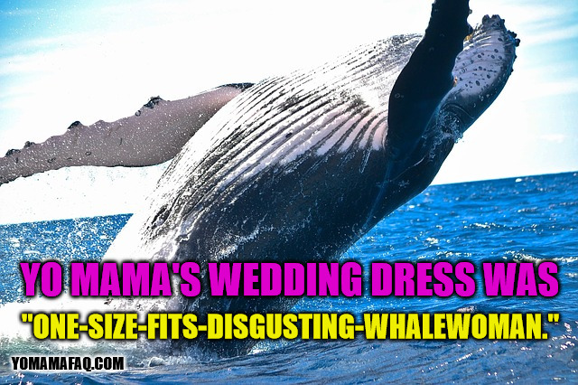 Yo mama | YO MAMA'S WEDDING DRESS WAS; "ONE-SIZE-FITS-DISGUSTING-WHALEWOMAN."; YOMAMAFAQ.COM | image tagged in yo mama,ancient aliens,whale,whales | made w/ Imgflip meme maker