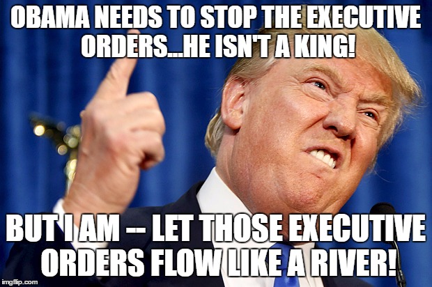 Donald Trump | OBAMA NEEDS TO STOP THE EXECUTIVE ORDERS...HE ISN'T A KING! BUT I AM -- LET THOSE EXECUTIVE ORDERS FLOW LIKE A RIVER! | image tagged in donald trump | made w/ Imgflip meme maker