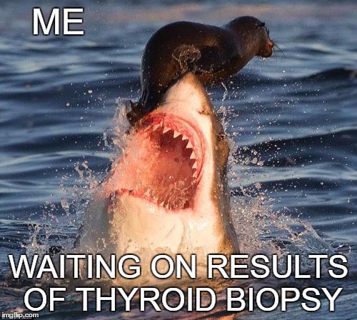 Travelonshark | ME; WAITING ON RESULTS OF THYROID BIOPSY | image tagged in memes,travelonshark | made w/ Imgflip meme maker
