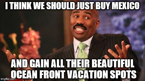 Steve Harvey Meme | I THINK WE SHOULD JUST BUY MEXICO AND GAIN ALL THEIR BEAUTIFUL OCEAN FRONT VACATION SPOTS | image tagged in memes,steve harvey | made w/ Imgflip meme maker