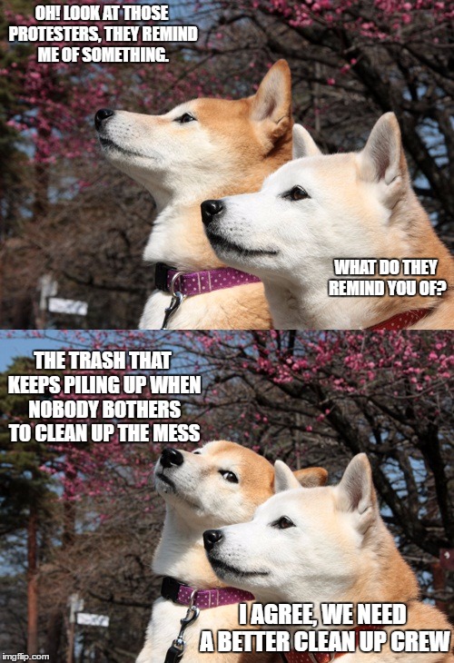 Bad pun dogs | OH! LOOK AT THOSE PROTESTERS, THEY REMIND ME OF SOMETHING. WHAT DO THEY REMIND YOU OF? THE TRASH THAT KEEPS PILING UP WHEN NOBODY BOTHERS TO CLEAN UP THE MESS; I AGREE, WE NEED A BETTER CLEAN UP CREW | image tagged in bad pun dogs | made w/ Imgflip meme maker