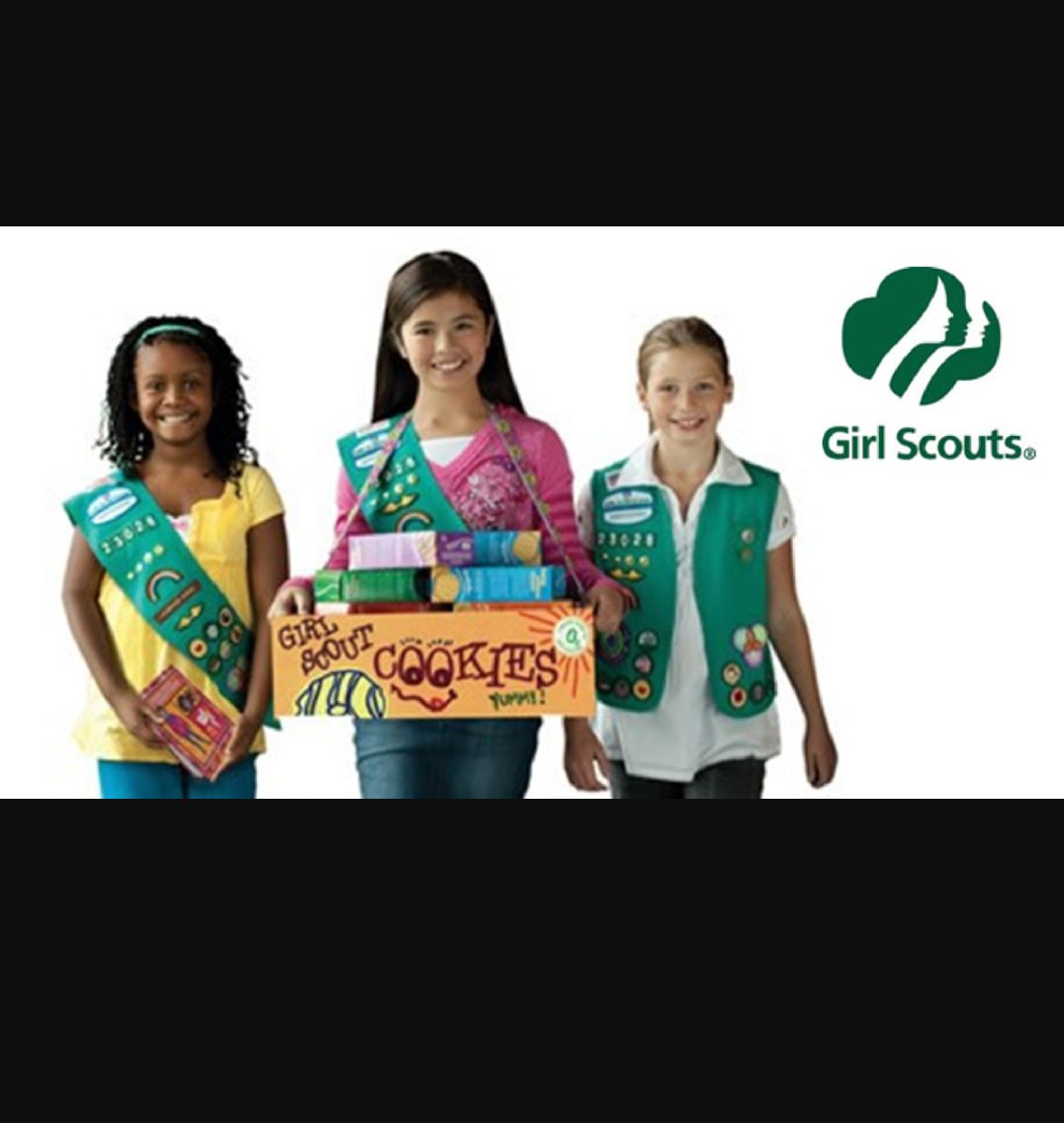 High Quality Girl scout Blank Meme Template