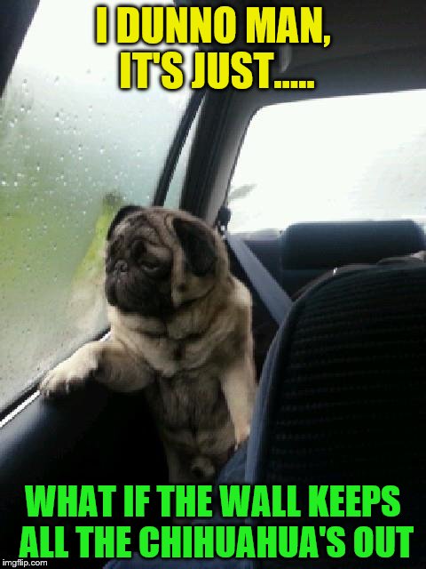 Introspective Pug | I DUNNO MAN, IT'S JUST..... WHAT IF THE WALL KEEPS ALL THE CHIHUAHUA'S OUT | image tagged in introspective pug | made w/ Imgflip meme maker