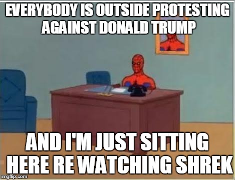 Desk Spiderman | EVERYBODY IS OUTSIDE PROTESTING AGAINST DONALD TRUMP; AND I'M JUST SITTING HERE RE WATCHING SHREK | image tagged in desk spiderman | made w/ Imgflip meme maker