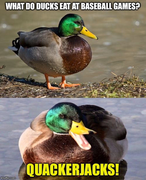 Bad Pun Duck |  WHAT DO DUCKS EAT AT BASEBALL GAMES? QUACKERJACKS! | image tagged in bad pun duck | made w/ Imgflip meme maker