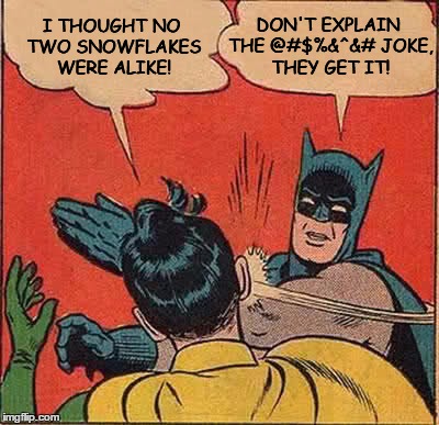 Batman Slapping Robin Meme | I THOUGHT NO TWO SNOWFLAKES WERE ALIKE! DON'T EXPLAIN THE @#$%&^&# JOKE, THEY GET IT! | image tagged in memes,batman slapping robin | made w/ Imgflip meme maker