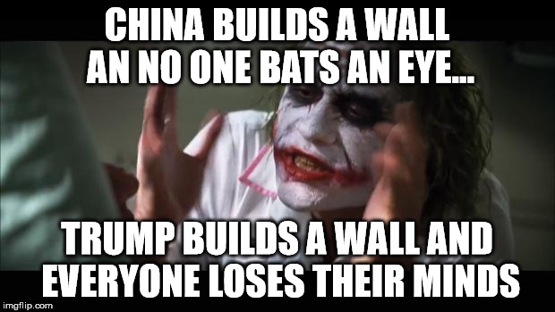 The Walls | CHINA BUILDS A WALL AN NO ONE BATS AN EYE... TRUMP BUILDS A WALL AND EVERYONE LOSES THEIR MINDS | image tagged in memes,and everybody loses their minds | made w/ Imgflip meme maker