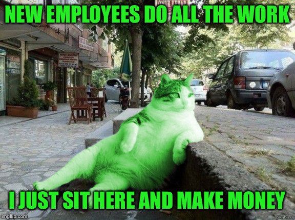RayCat relaxing | NEW EMPLOYEES DO ALL THE WORK I JUST SIT HERE AND MAKE MONEY | image tagged in raycat relaxing | made w/ Imgflip meme maker
