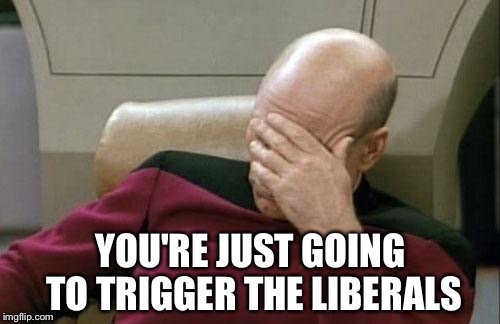 Captain Picard Facepalm Meme | YOU'RE JUST GOING TO TRIGGER THE LIBERALS | image tagged in memes,captain picard facepalm | made w/ Imgflip meme maker