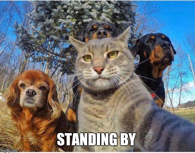 STANDING BY | made w/ Imgflip meme maker