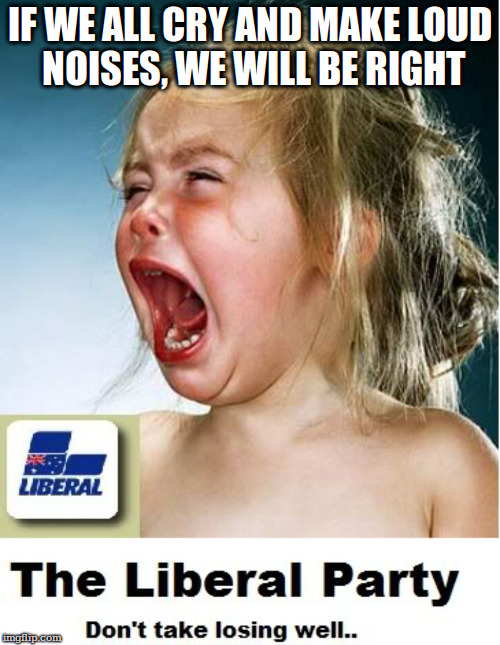 Crying Liberals  | IF WE ALL CRY AND MAKE LOUD NOISES, WE WILL BE RIGHT | image tagged in crying liberals | made w/ Imgflip meme maker