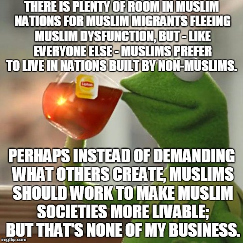 Time To Stop And Think | THERE IS PLENTY OF ROOM IN MUSLIM NATIONS FOR MUSLIM MIGRANTS FLEEING MUSLIM DYSFUNCTION, BUT - LIKE EVERYONE ELSE - MUSLIMS PREFER TO LIVE IN NATIONS BUILT BY NON-MUSLIMS. PERHAPS INSTEAD OF DEMANDING WHAT OTHERS CREATE, MUSLIMS SHOULD WORK TO MAKE MUSLIM SOCIETIES MORE LIVABLE; BUT THAT'S NONE OF MY BUSINESS. | image tagged in memes,but thats none of my business,kermit the frog,bakchodi | made w/ Imgflip meme maker