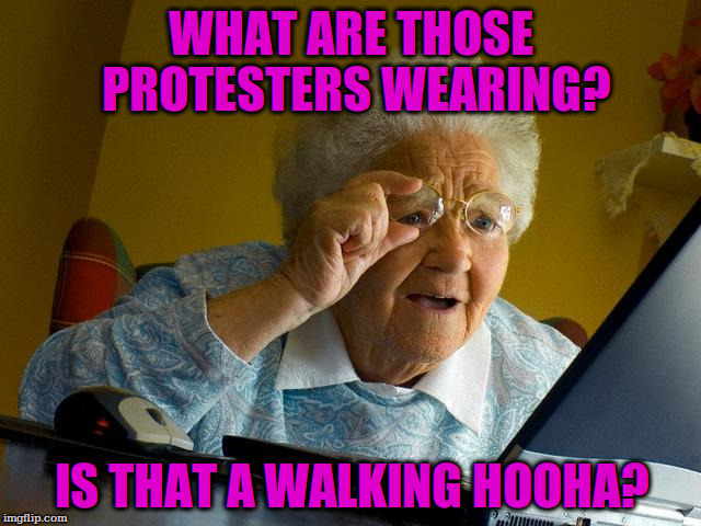 Grandma Finds The Internet | WHAT ARE THOSE PROTESTERS WEARING? IS THAT A WALKING HOOHA? | image tagged in memes,grandma finds the internet | made w/ Imgflip meme maker