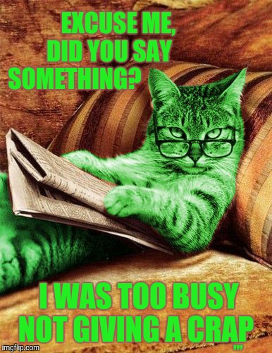 Factual RayCat | EXCUSE ME,      DID YOU SAY     SOMETHING? ,,, I WAS TOO BUSY NOT GIVING A CRAP | image tagged in factual raycat | made w/ Imgflip meme maker