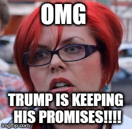 Triggered | OMG; TRUMP IS KEEPING HIS PROMISES!!!! | image tagged in triggered | made w/ Imgflip meme maker