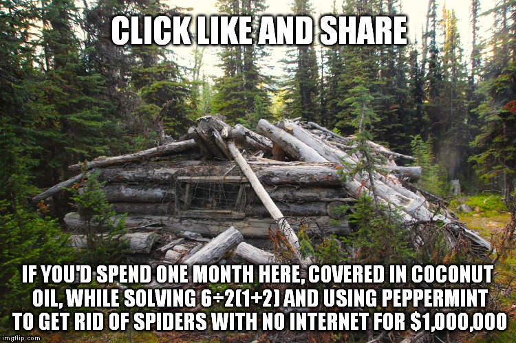 old cabin | CLICK LIKE AND SHARE; IF YOU'D SPEND ONE MONTH HERE, COVERED IN COCONUT OIL, WHILE SOLVING 6÷2(1+2) AND USING PEPPERMINT TO GET RID OF SPIDERS WITH NO INTERNET FOR $1,000,000 | image tagged in old cabin | made w/ Imgflip meme maker