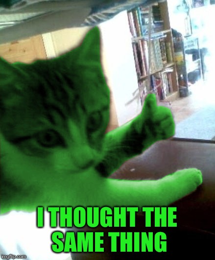 thumbs up RayCat | I THOUGHT THE SAME THING | image tagged in thumbs up raycat | made w/ Imgflip meme maker