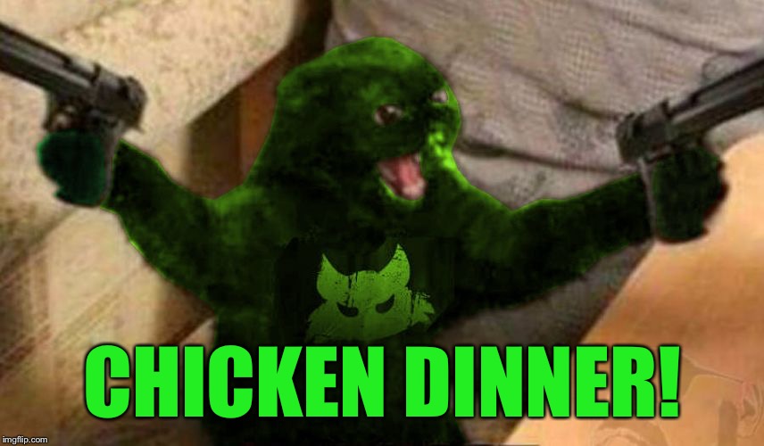 RayCat Angry | CHICKEN DINNER! | image tagged in raycat angry | made w/ Imgflip meme maker