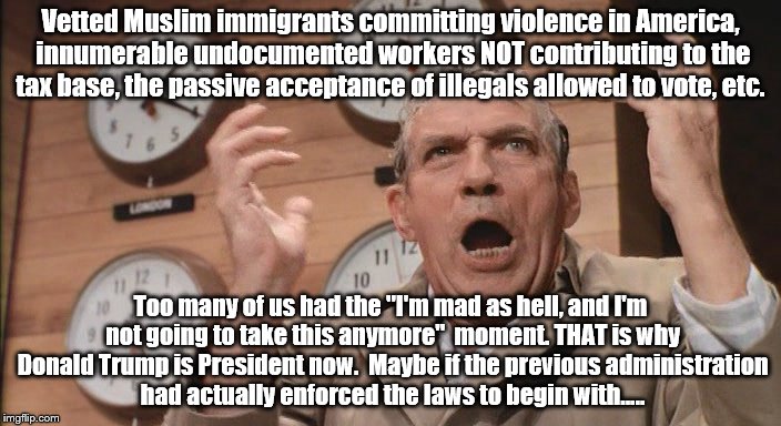 I'm mad as hell | Vetted Muslim immigrants committing violence in America, innumerable undocumented workers NOT contributing to the tax base, the passive acceptance of illegals allowed to vote, etc. Too many of us had the "I'm mad as hell, and I'm not going to take this anymore"  moment. THAT is why Donald Trump is President now.  Maybe if the previous administration had actually enforced the laws to begin with..... | image tagged in illegal immigration | made w/ Imgflip meme maker