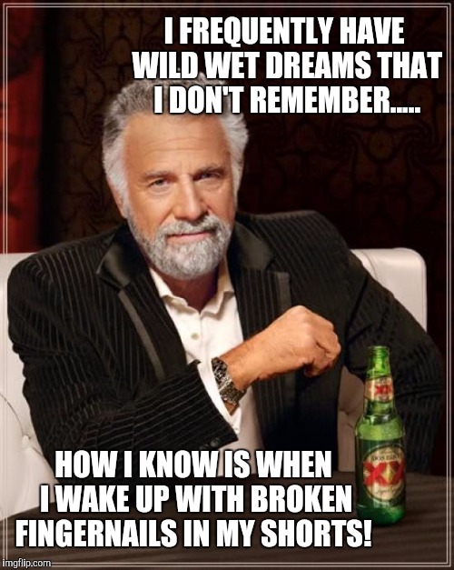 The Most Interesting Man In The World | I FREQUENTLY HAVE WILD WET DREAMS THAT I DON'T REMEMBER..... HOW I KNOW IS WHEN I WAKE UP WITH BROKEN FINGERNAILS IN MY SHORTS! | image tagged in memes,the most interesting man in the world | made w/ Imgflip meme maker