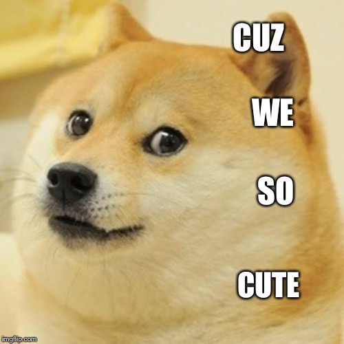 Doge Meme | CUZ WE SO CUTE | image tagged in memes,doge | made w/ Imgflip meme maker
