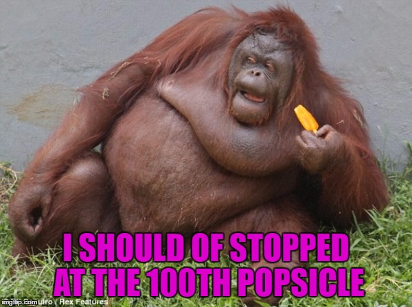 Popsicle Fat Monkey!!! | I SHOULD OF STOPPED AT THE 100TH POPSICLE | image tagged in fat,popsicle | made w/ Imgflip meme maker