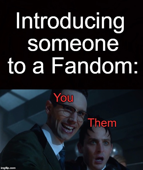 Introducing someone to a Fandom:; You; Them | made w/ Imgflip meme maker