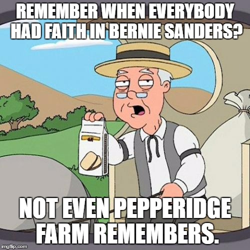 Pepperidge Farm Remembers Meme | REMEMBER WHEN EVERYBODY HAD FAITH IN BERNIE SANDERS? NOT EVEN PEPPERIDGE FARM REMEMBERS. | image tagged in memes,pepperidge farm remembers | made w/ Imgflip meme maker