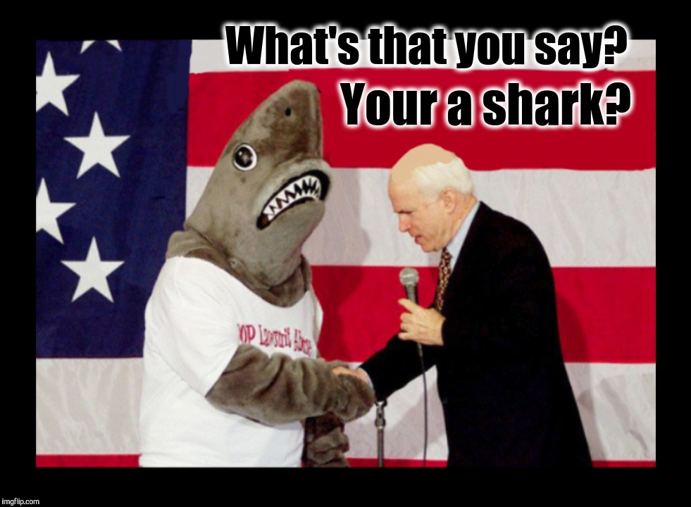 Special Delivery | Your a shark? What's that you say? | image tagged in john mccain,funny memes,funny,old age | made w/ Imgflip meme maker