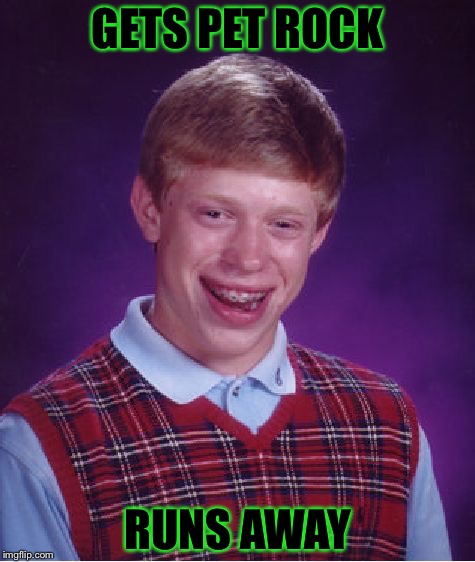 Bad Luck Brian Meme | GETS PET ROCK; RUNS AWAY | image tagged in memes,bad luck brian | made w/ Imgflip meme maker