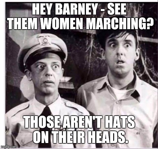 HEY BARNEY - SEE THEM WOMEN MARCHING? THOSE AREN'T HATS ON THEIR HEADS. | image tagged in them ain't hats barney | made w/ Imgflip meme maker