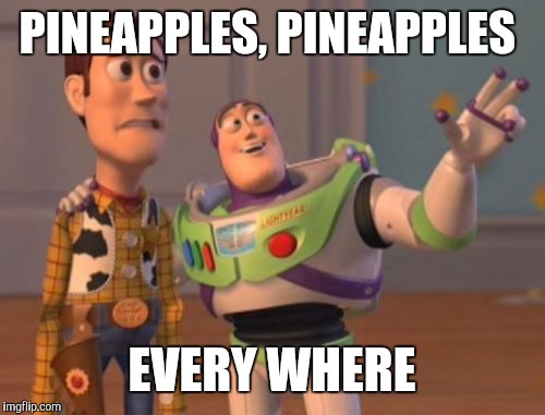 X, X Everywhere | PINEAPPLES, PINEAPPLES; EVERY WHERE | image tagged in memes,x x everywhere | made w/ Imgflip meme maker