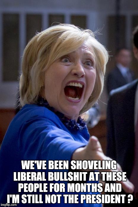 WTF Hillary | WE'VE BEEN SHOVELING LIBERAL BULLSHIT AT THESE PEOPLE FOR MONTHS AND I'M STILL NOT THE PRESIDENT ? | image tagged in wtf hillary | made w/ Imgflip meme maker