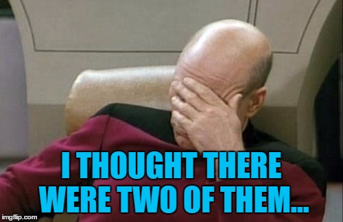 Captain Picard Facepalm Meme | I THOUGHT THERE WERE TWO OF THEM... | image tagged in memes,captain picard facepalm | made w/ Imgflip meme maker