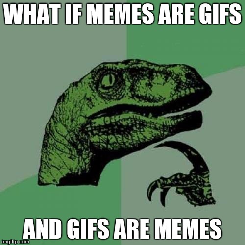 Philosoraptor Meme | WHAT IF MEMES ARE GIFS; AND GIFS ARE MEMES | image tagged in memes,philosoraptor | made w/ Imgflip meme maker