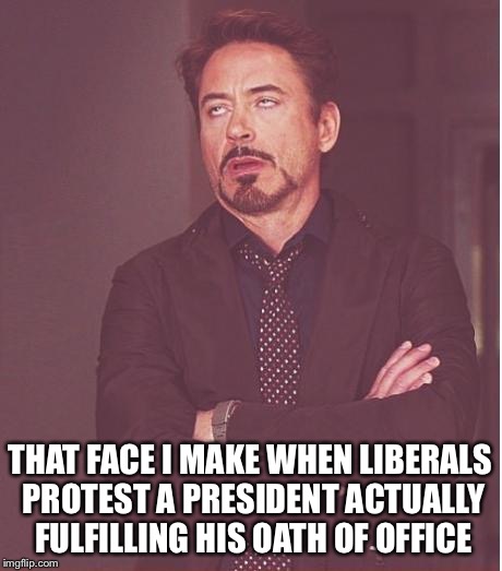 face I make  | THAT FACE I MAKE WHEN LIBERALS PROTEST A PRESIDENT ACTUALLY FULFILLING HIS OATH OF OFFICE | image tagged in face i make | made w/ Imgflip meme maker