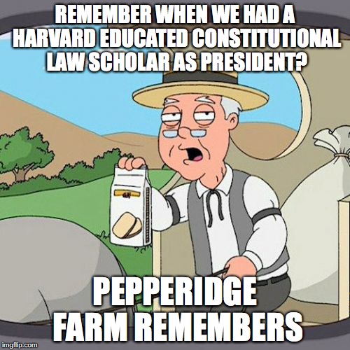 Pepperidge Farm Remembers | REMEMBER WHEN WE HAD A HARVARD EDUCATED CONSTITUTIONAL LAW SCHOLAR AS PRESIDENT? PEPPERIDGE FARM REMEMBERS | image tagged in memes,pepperidge farm remembers | made w/ Imgflip meme maker