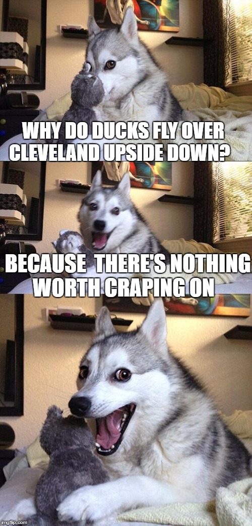 Bad Pun Dog Meme | WHY DO DUCKS FLY OVER CLEVELAND UPSIDE DOWN? BECAUSE  THERE'S NOTHING WORTH CRAPING ON | image tagged in memes,bad pun dog | made w/ Imgflip meme maker