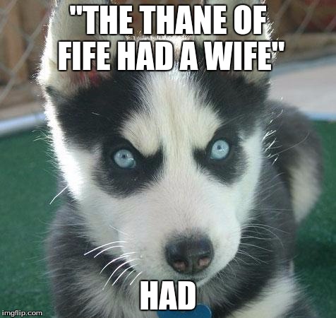 Killer Husky | "THE THANE OF FIFE HAD A WIFE"; HAD | image tagged in killer husky | made w/ Imgflip meme maker