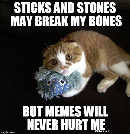 Memes Will Never Hurt Me | STICKS AND STONES MAY BREAK MY BONES; BUT MEMES WILL NEVER HURT ME | image tagged in cats,funny memes | made w/ Imgflip meme maker