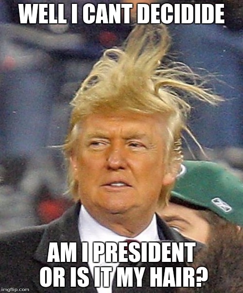 Donald Trumph hair | WELL I CANT DECIDIDE; AM I PRESIDENT OR IS IT MY HAIR? | image tagged in donald trumph hair | made w/ Imgflip meme maker