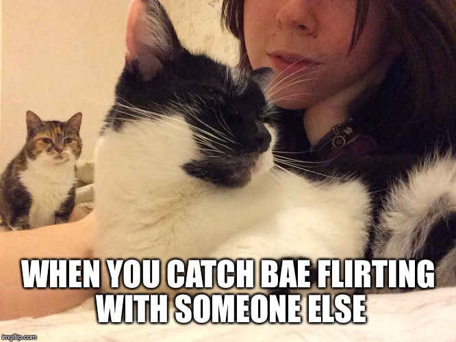 Flirting  | WHEN YOU CATCH BAE FLIRTING WITH SOMEONE ELSE | image tagged in flirting | made w/ Imgflip meme maker